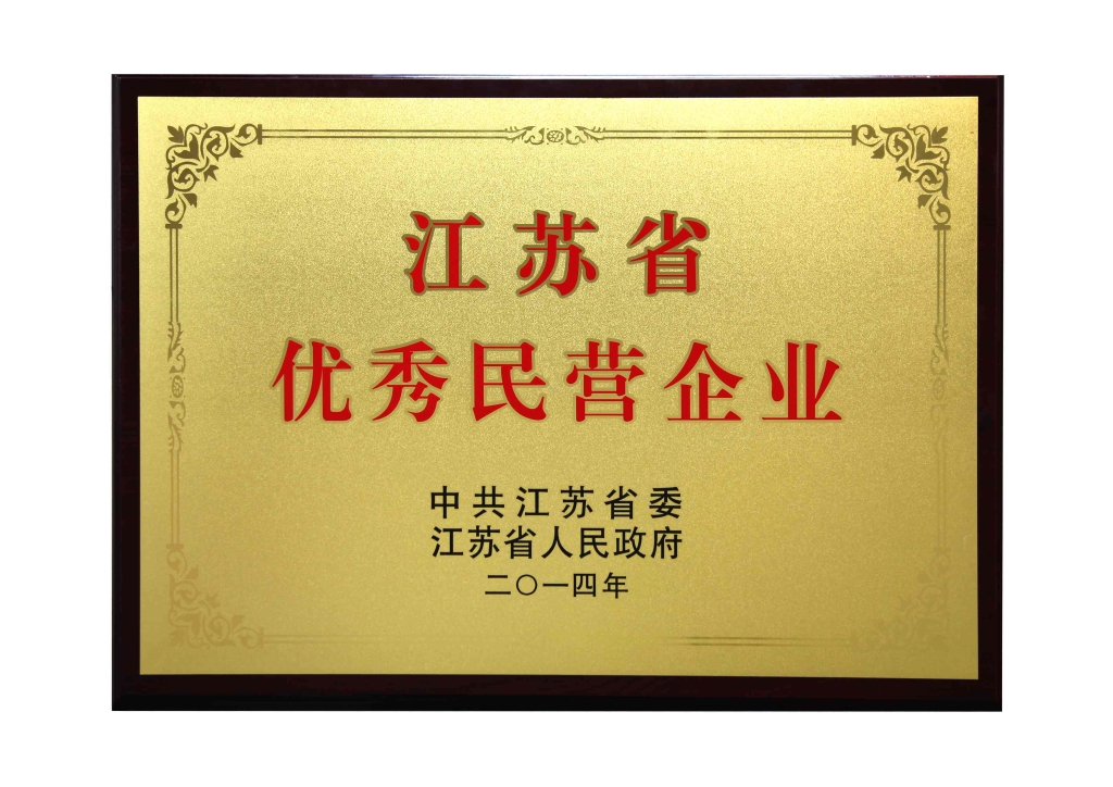 江蘇省優(yōu)秀民營企業(yè)