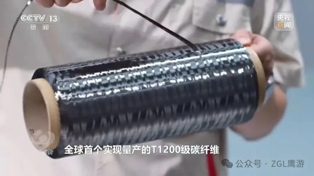 央視《焦點訪談》專題報道！解碼這束“黑色黃金”的培育路徑